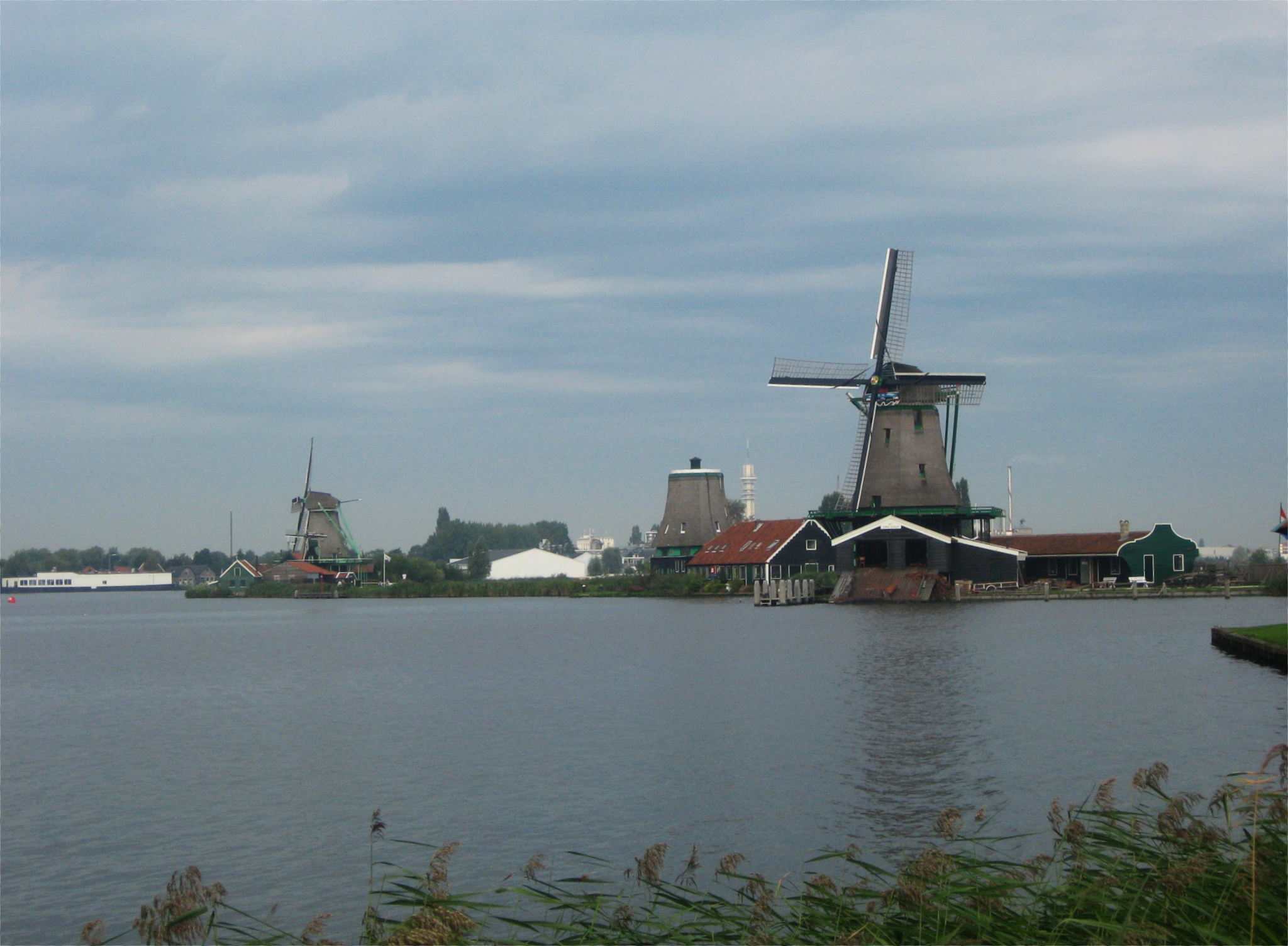 Zaamse Schains