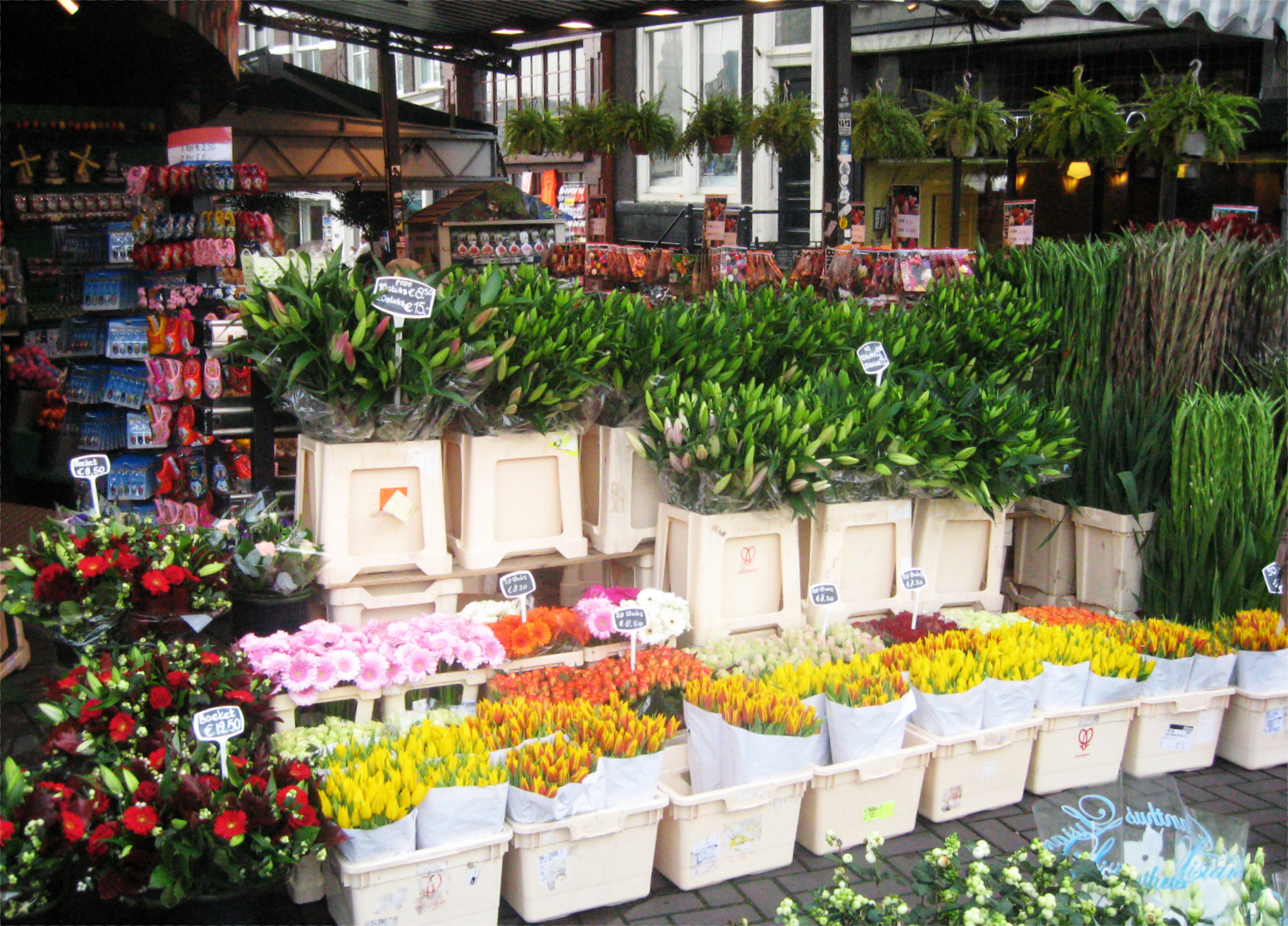 Amsterdam - Il mercato dei fiori