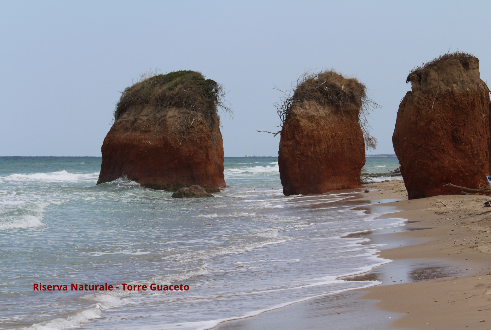 riserva naturale torre guaceto 2