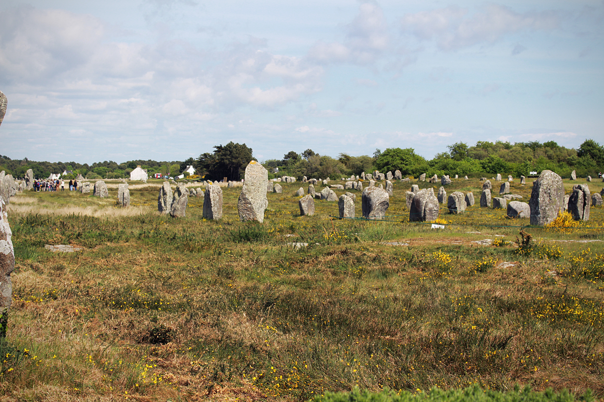 Allineamenti di Carnac Allineamenti di Carnac