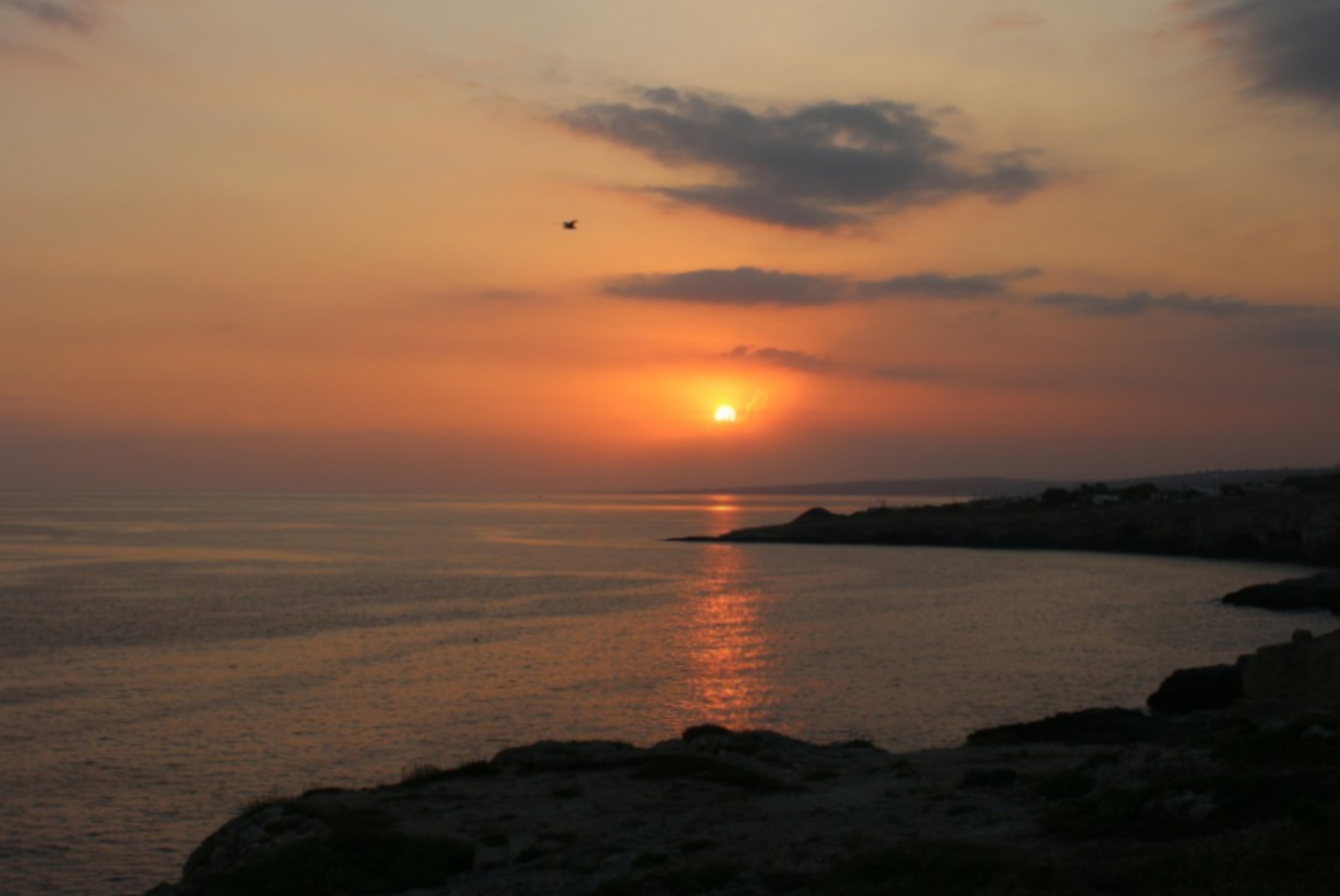 Gallipoli